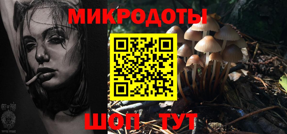 Галлюциногенные грибы прущие грибы Борисоглебск