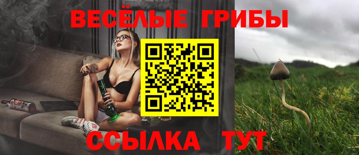 Борисоглебск  Галлюциногенные грибы прущие грибы  Псилоцибиновые грибы MAGIC MUSHROOMS  даркнет сайт  Вход с VPN 
