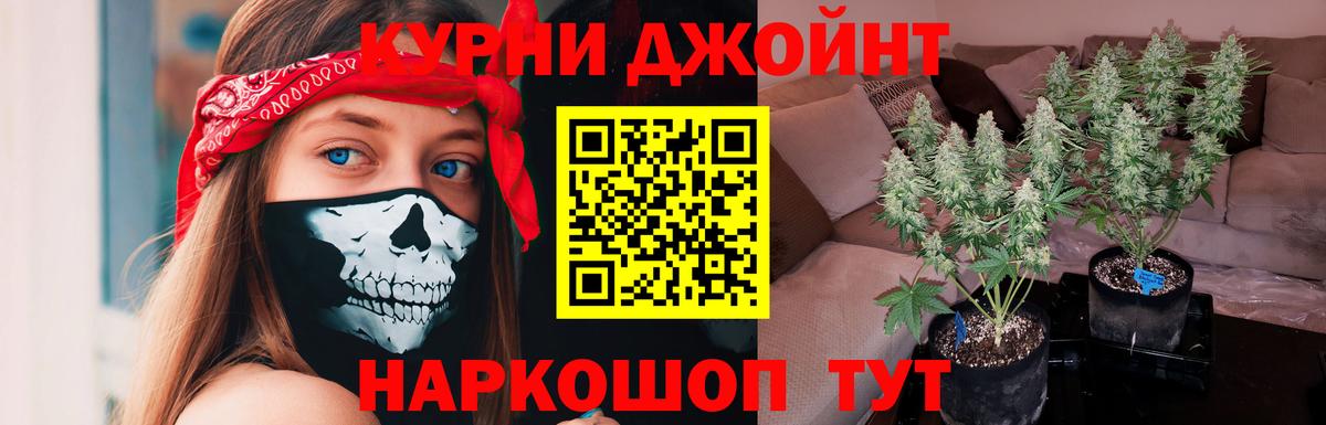 Бошки марихуана гибрид Борисоглебск